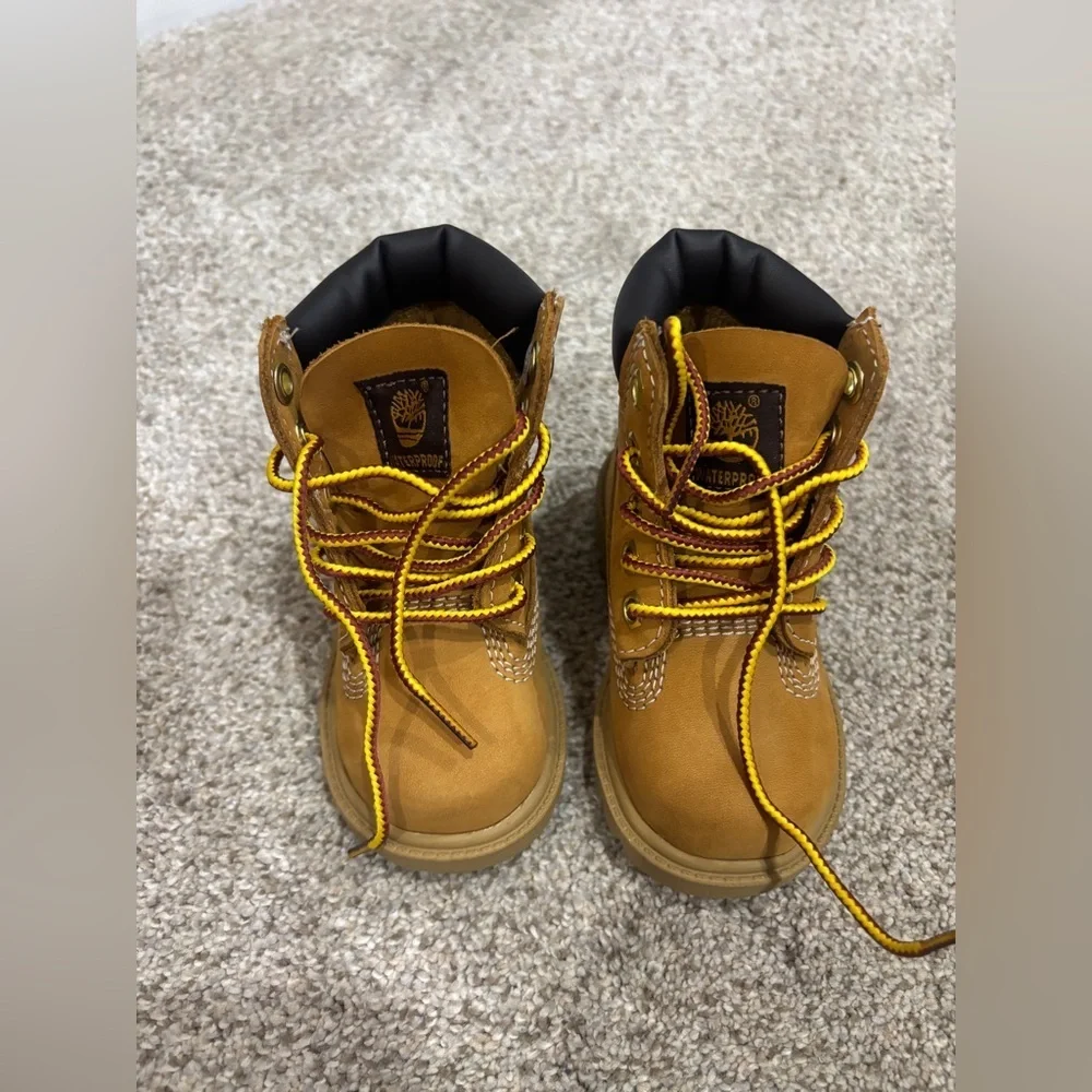 Timberland nib classic